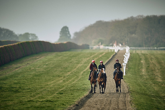 HORSES-IN-TRAINING-9TH-APR-DJ-0489