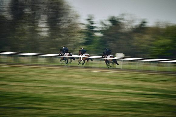 HORSES-IN-TRAINING-9TH-APR-DJ-0466