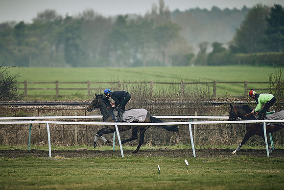 HORSES-IN-TRAINING-9TH-APR-DJ-0392