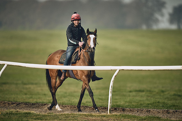 HORSES-IN-TRAINING-9TH-APR-DJ-0542