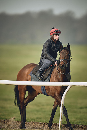 HORSES-IN-TRAINING-9TH-APR-DJ-0550