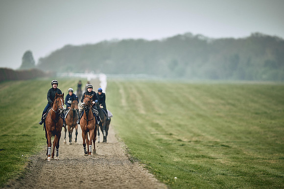HORSES-IN-TRAINING-9TH-APR-DJ-0273