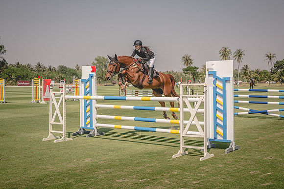20150117DJ146196.CR2