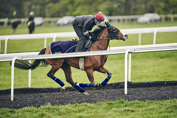 HORSES-IN-TRAINING-18TH-APR-DJ-1727
