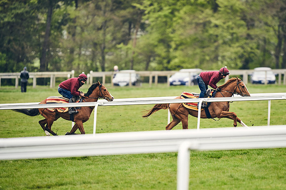 HORSES-IN-TRAINING-18TH-APR-DJ-2033