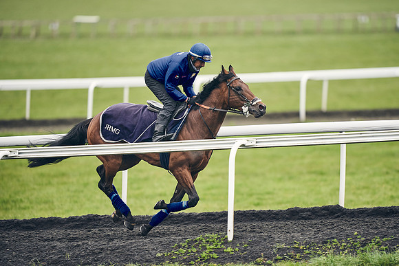 HORSES-IN-TRAINING-18TH-APR-DJ-1712