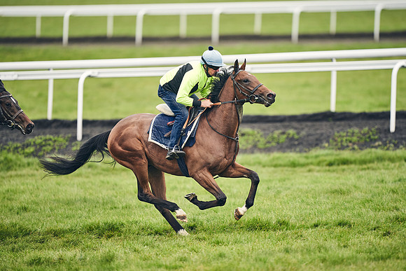 HORSES-IN-TRAINING-18TH-APR-DJ-1612
