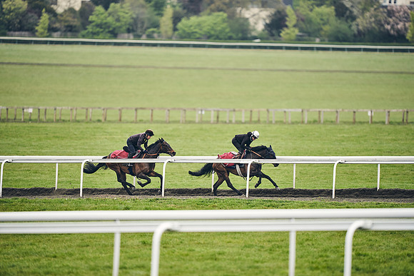 HORSES-IN-TRAINING-18TH-APR-DJ-1956