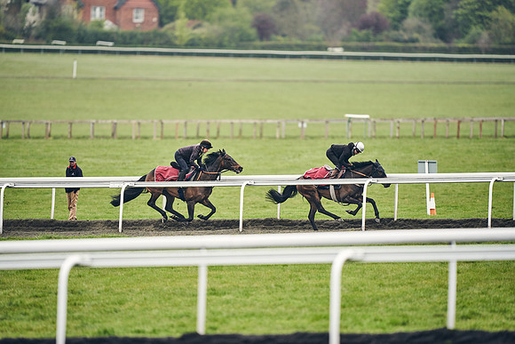 HORSES-IN-TRAINING-18TH-APR-DJ-1966