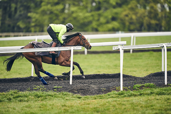 HORSES-IN-TRAINING-18TH-APR-DJ-1330