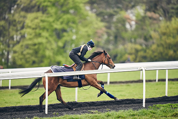 HORSES-IN-TRAINING-18TH-APR-DJ-1453