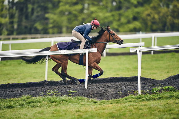 HORSES-IN-TRAINING-18TH-APR-DJ-1117