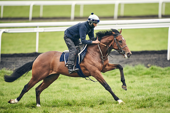 HORSES-IN-TRAINING-18TH-APR-DJ-1594