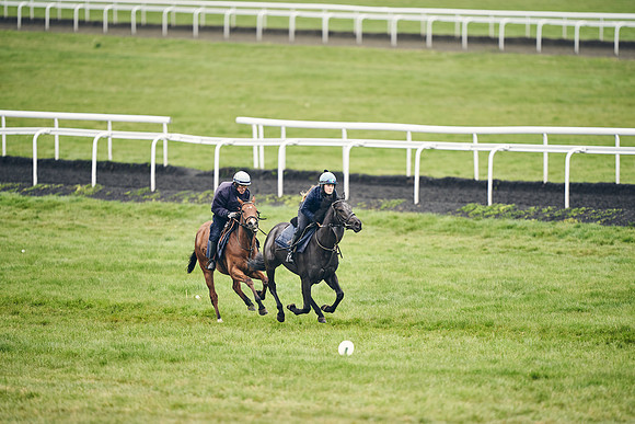 HORSES-IN-TRAINING-18TH-APR-DJ-1677