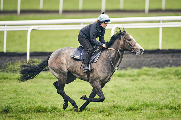 HORSES-IN-TRAINING-18TH-APR-DJ-1660