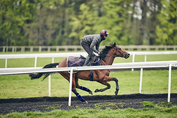 HORSES-IN-TRAINING-18TH-APR-DJ-1407