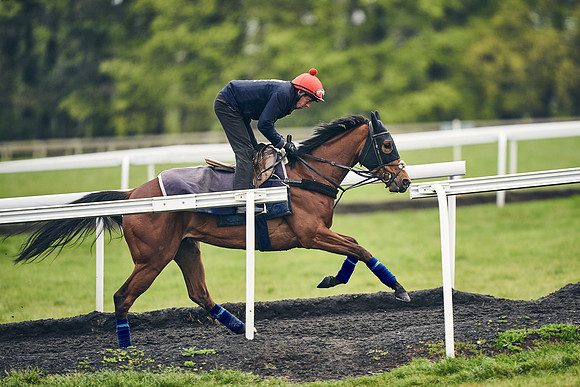HORSES-IN-TRAINING-18TH-APR-DJ-1060