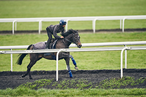 HORSES-IN-TRAINING-18TH-APR-DJ-1846