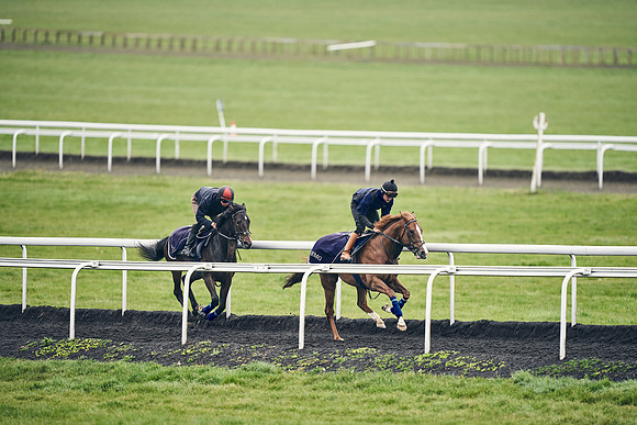 HORSES-IN-TRAINING-18TH-APR-DJ-1926