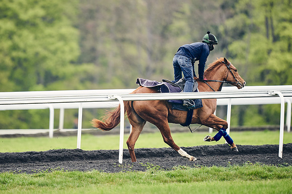 HORSES-IN-TRAINING-18TH-APR-DJ-1350