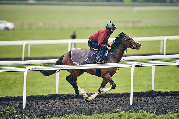 HORSES-IN-TRAINING-18TH-APR-DJ-1979