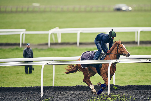 HORSES-IN-TRAINING-18TH-APR-DJ-2002