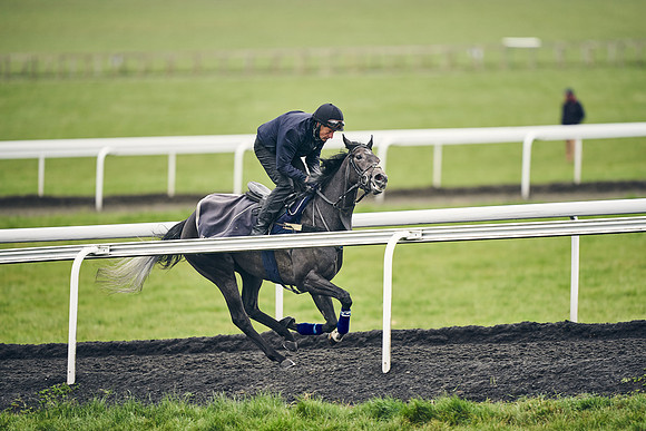 HORSES-IN-TRAINING-18TH-APR-DJ-1873