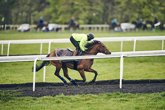 HORSES-IN-TRAINING-18TH-APR-DJ-1323