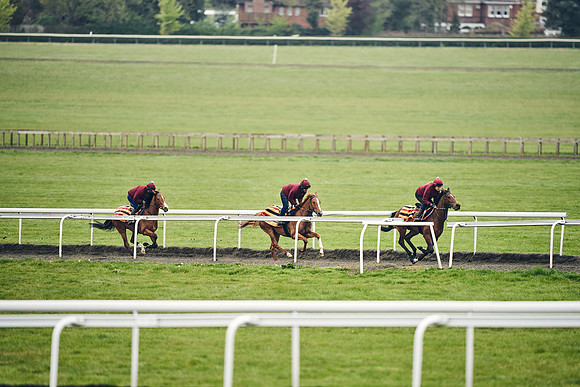 HORSES-IN-TRAINING-18TH-APR-DJ-2027