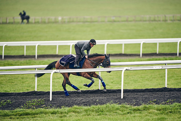 HORSES-IN-TRAINING-18TH-APR-DJ-1380