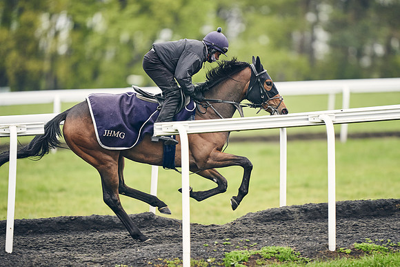HORSES-IN-TRAINING-18TH-APR-DJ-1766
