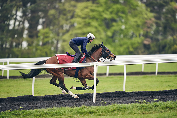 HORSES-IN-TRAINING-18TH-APR-DJ-1375