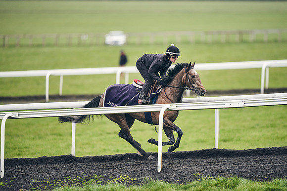 HORSES-IN-TRAINING-18TH-APR-DJ-1822