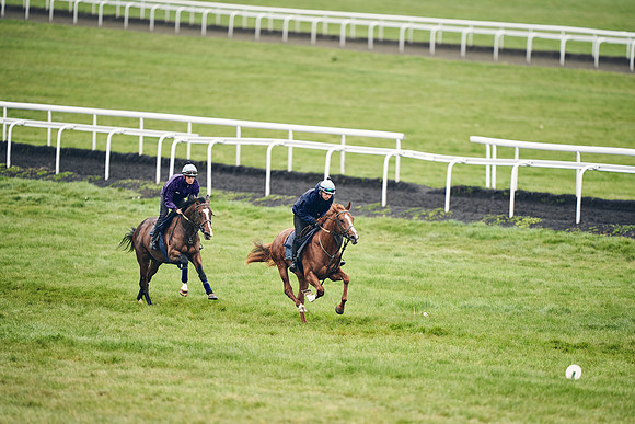 HORSES-IN-TRAINING-18TH-APR-DJ-1529