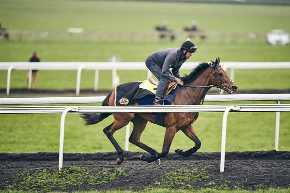 HORSES-IN-TRAINING-18TH-APR-DJ-1907