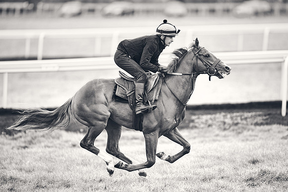 HORSES-IN-TRAINING-18TH-APR-DJ-1595