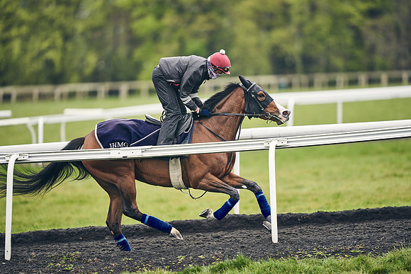 HORSES-IN-TRAINING-18TH-APR-DJ-1733