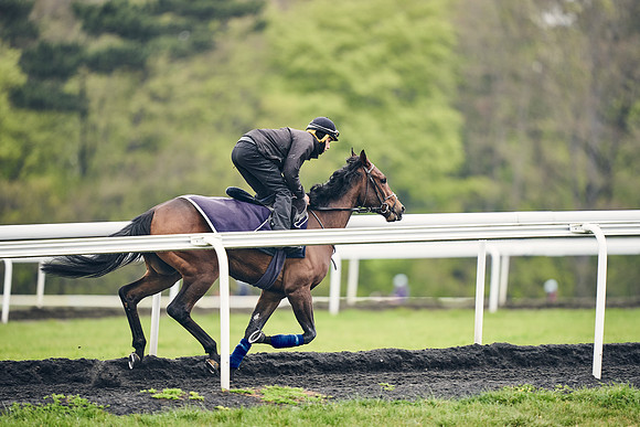 HORSES-IN-TRAINING-18TH-APR-DJ-1761
