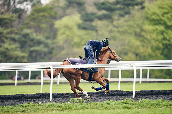HORSES-IN-TRAINING-18TH-APR-DJ-1347