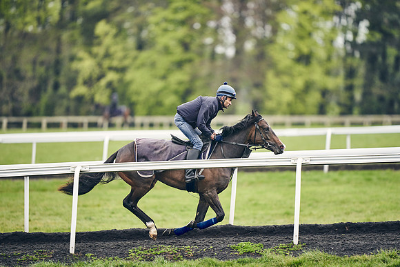 HORSES-IN-TRAINING-18TH-APR-DJ-1289