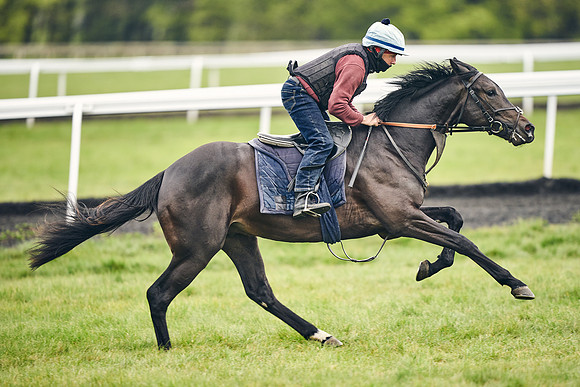 HORSES-IN-TRAINING-18TH-APR-DJ-1575