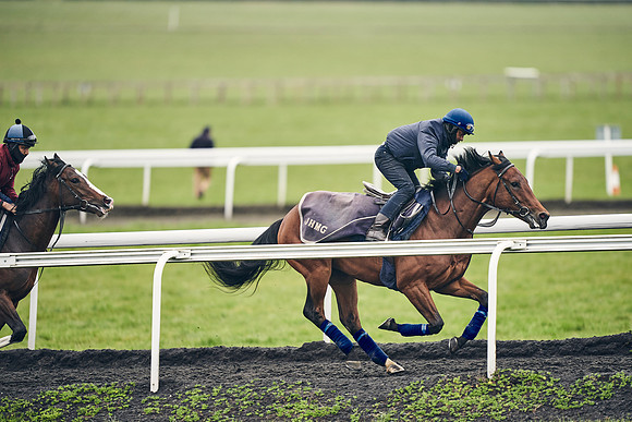 HORSES-IN-TRAINING-18TH-APR-DJ-1977