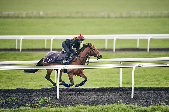 HORSES-IN-TRAINING-18TH-APR-DJ-1860
