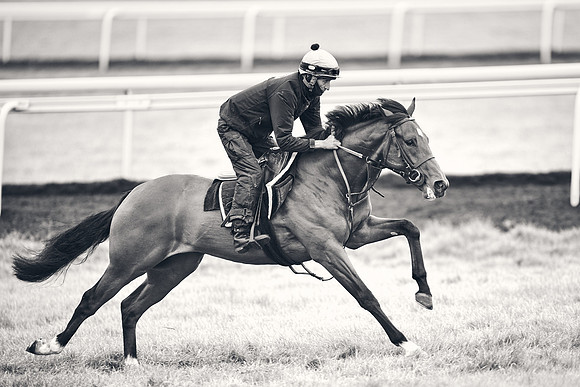 HORSES-IN-TRAINING-18TH-APR-DJ-1594