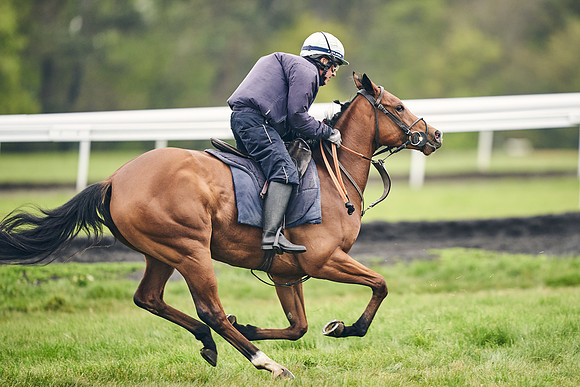 HORSES-IN-TRAINING-18TH-APR-DJ-1695