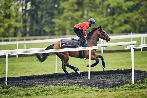 HORSES-IN-TRAINING-18TH-APR-DJ-1444