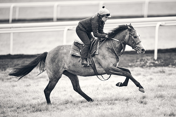 HORSES-IN-TRAINING-18TH-APR-DJ-1667