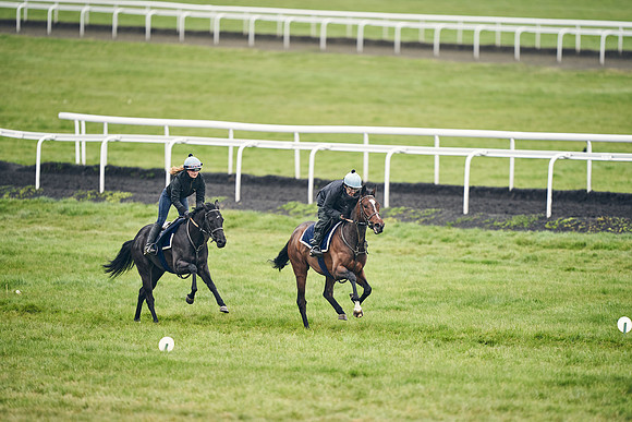 HORSES-IN-TRAINING-18TH-APR-DJ-1628