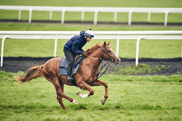 HORSES-IN-TRAINING-18TH-APR-DJ-1550