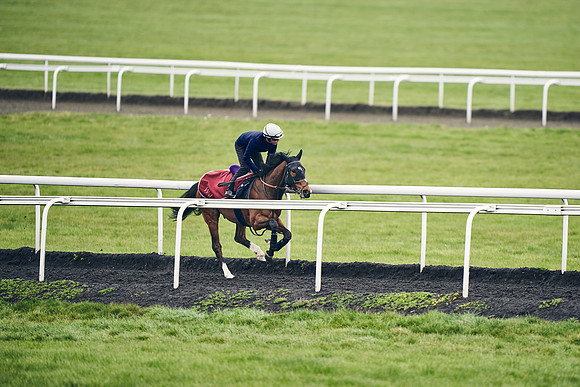 HORSES-IN-TRAINING-18TH-APR-DJ-1357